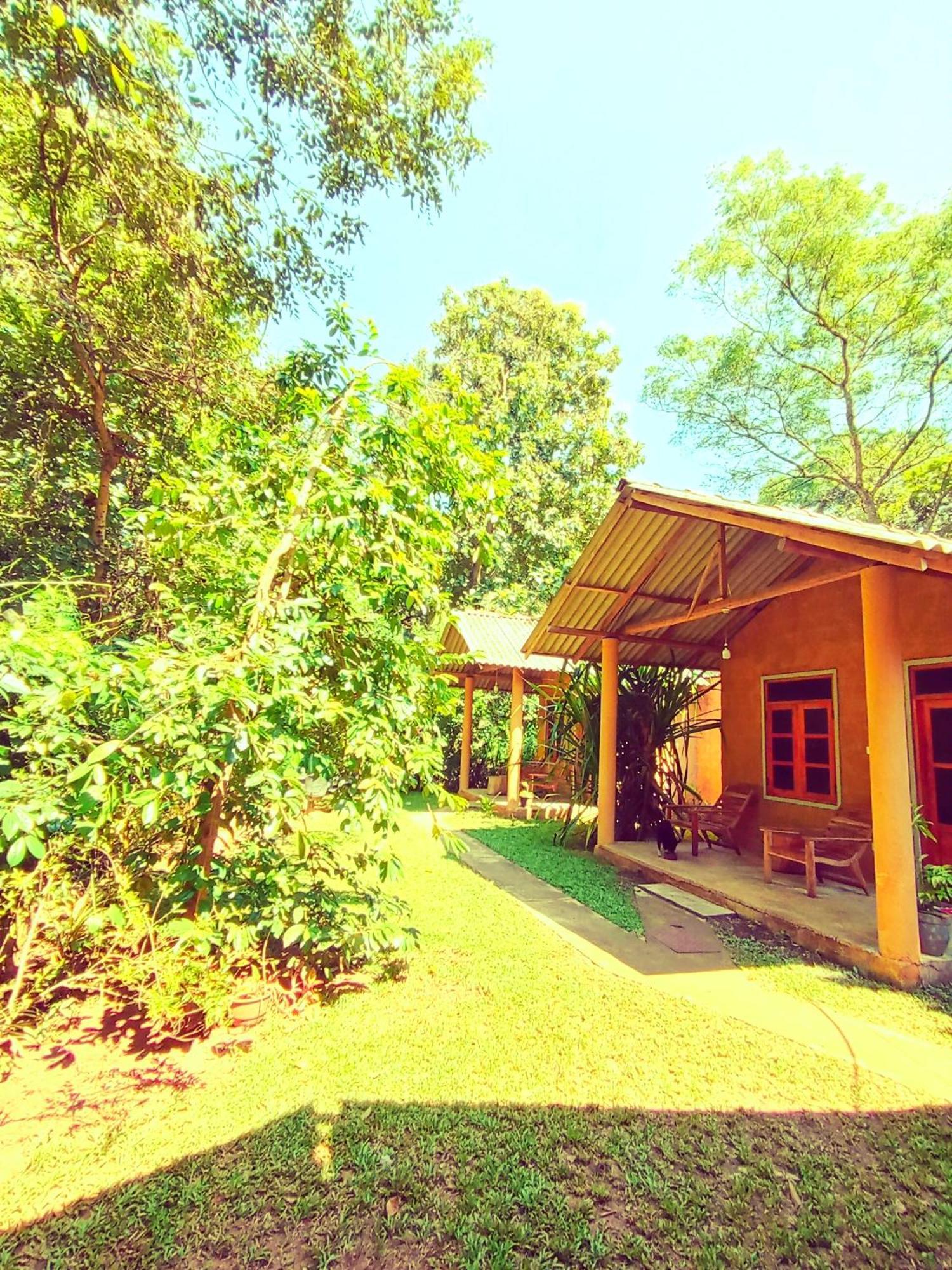 Monkey Jungle Cottage Udawalawe Buitenkant foto